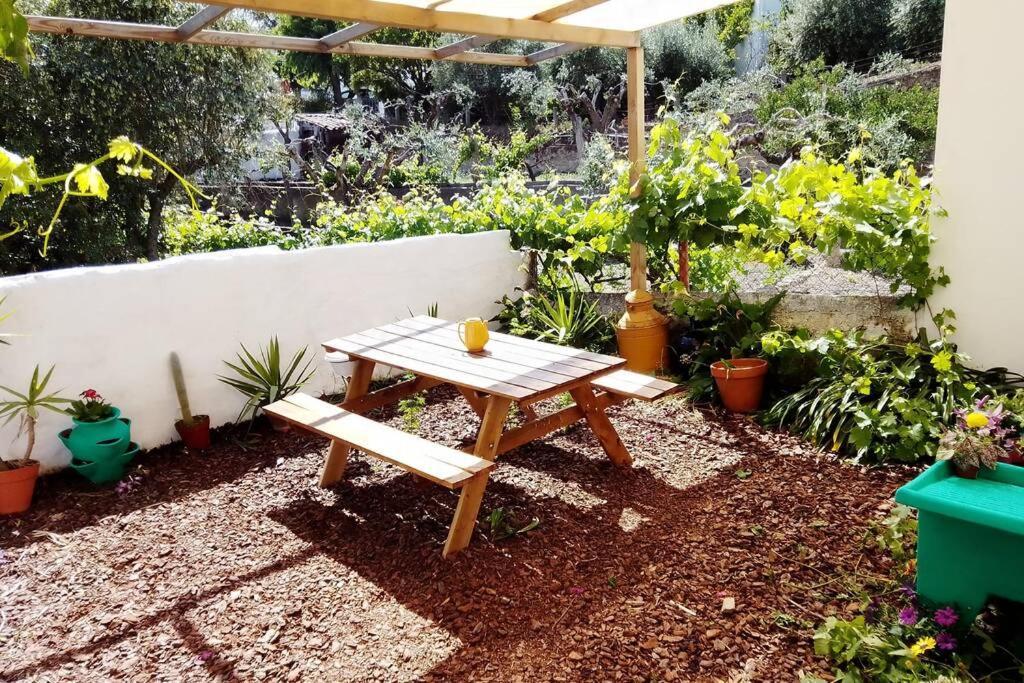 Petal House Villa Beirã Exteriör bild