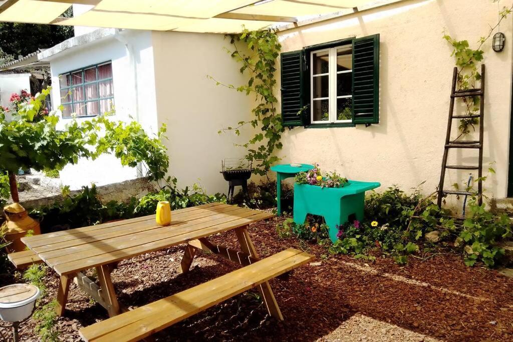 Petal House Villa Beirã Exteriör bild